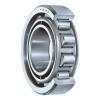 (1) New 6203-2RSC3 ORS Single Row Ball Bearing #4 small image