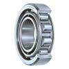 JAF Single Row Rubber Shielded Ball Bearing W206 2RS W2062RS 6206RS New